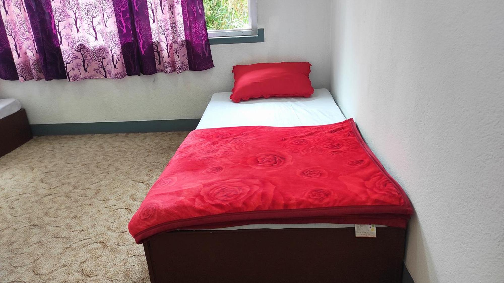 Budget Backpackers Hotel Lalitpur Ngoại thất bức ảnh