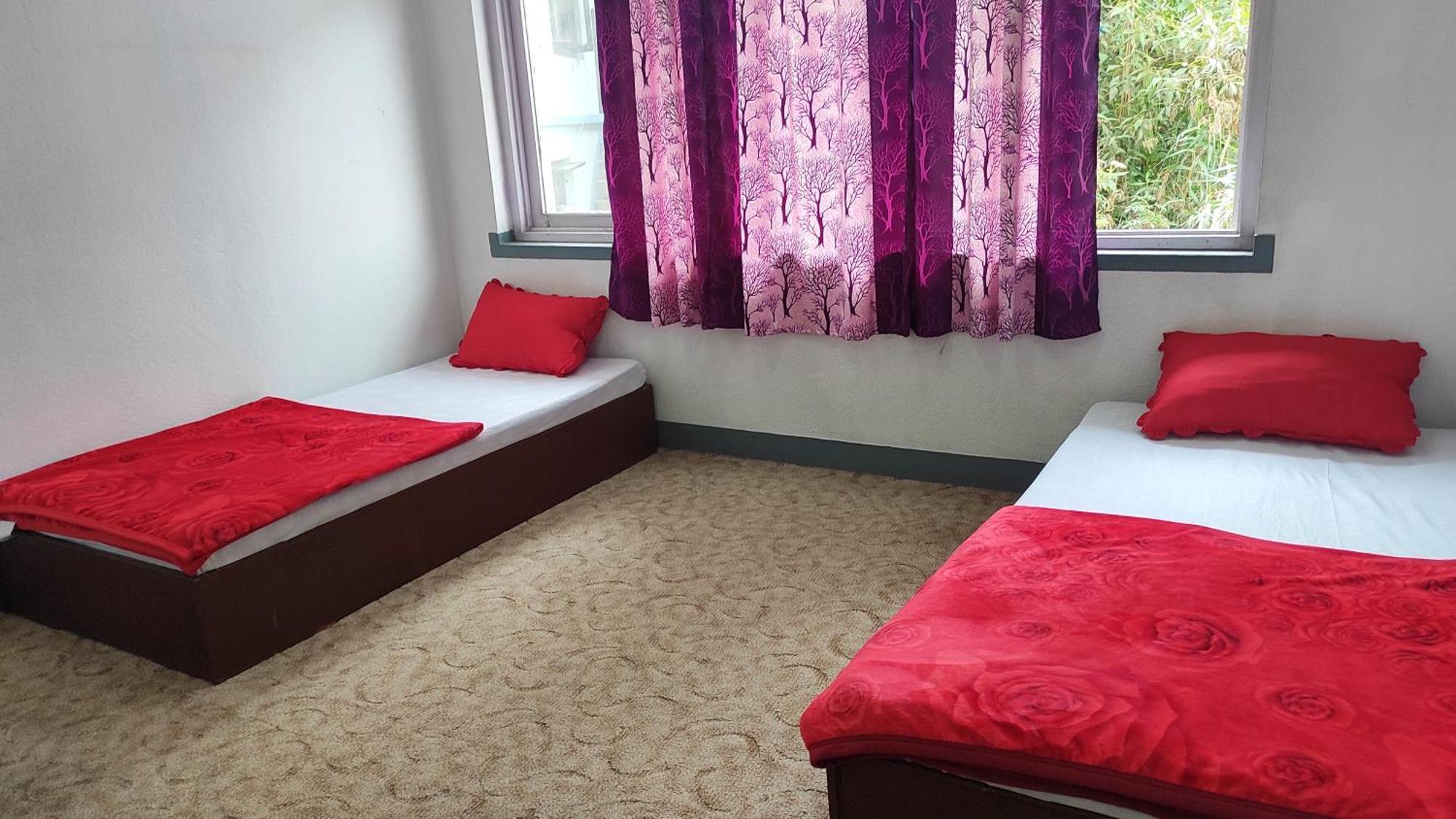 Budget Backpackers Hotel Lalitpur Ngoại thất bức ảnh